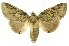  ( - INB0003977087)  @14 [ ] Copyright (2012) Juan Mata Lorenzen Unspecified