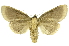  ( - INB0003977087)  @13 [ ] Copyright (2012) Juan Mata Lorenzen Unspecified