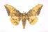  ( - INB0003977449)  @14 [ ] Copyright (2012) I. Chacon Instituto Nacional de Biodiversidad