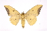  ( - INB0003977449)  @12 [ ] Copyright (2012) I. Chacon Instituto Nacional de Biodiversidad