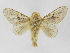  ( - INB0003978155)  @14 [ ] Copyright (2012) J. Montero Instituto Nacional de Biodiversidad