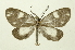  ( - INB0003978339)  @13 [ ] Copyright (2012) Juan Mata Lorenzen Unspecified