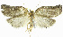  ( - INB0003982717)  @11 [ ] CreativeCommons - Attribution Non-Commercial Share-Alike (2012) National Biodiversity Institute of Costa Rica National Biodiversity Institute of Costa Rica