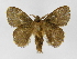  ( - INB0003982721)  @14 [ ] Copyright (2012) J. Montero Instituto Nacional de Biodiversidad