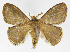  ( - INB0003982722)  @12 [ ] Copyright (2012) J. Montero Instituto Nacional de Biodiversidad