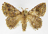  ( - INB0003982740)  @11 [ ] Copyright (2012) J. Montero Instituto Nacional de Biodiversidad