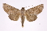  ( - INB0003982768)  @14 [ ] Copyright (2012) I. Chacon Instituto Nacional de Biodiversidad