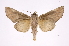  ( - INB0003982768)  @14 [ ] Copyright (2012) I. Chacon Instituto Nacional de Biodiversidad