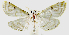  ( - INB0003982797)  @14 [ ] CreativeCommons - Attribution Non-Commercial Share-Alike  National Biodiversity Institute of Costa Rica National Biodiversity Institute of Costa Rica