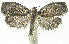 ( - INB0003982858)  @12 [ ] CreativeCommons - Attribution Non-Commercial Share-Alike (2012) National Biodiversity Institute of Costa Rica National Biodiversity Institute of Costa Rica