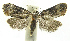  ( - INB0003982865)  @13 [ ] CreativeCommons - Attribution Non-Commercial Share-Alike (2012) National Biodiversity Institute of Costa Rica National Biodiversity Institute of Costa Rica