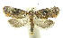  ( - INB0003982881)  @11 [ ] CreativeCommons - Attribution Non-Commercial Share-Alike (2012) National Biodiversity Institute of Costa Rica National Biodiversity Institute of Costa Rica