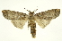  ( - INB0004010801)  @14 [ ] Copyright (2012) Juan Mata Lorenzen Unspecified