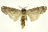  ( - INB0004010801)  @13 [ ] Copyright (2012) Juan Mata Lorenzen Unspecified