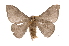  ( - INB0004010811)  @12 [ ] Copyright (2012) I. Chacon Instituto Nacional de Biodiversidad