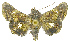  ( - INB0004010823)  @12 [ ] Copyright (2011) E. Phillips-Rodriguez INBio