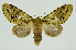  ( - INB0004013001)  @14 [ ] Copyright (2012) Juan Mata Lorenzen Unspecified