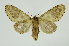  ( - INB0004013001)  @13 [ ] Copyright (2012) Juan Mata Lorenzen Unspecified