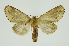  ( - INB0004013003)  @13 [ ] Copyright (2012) Juan Mata Lorenzen Unspecified