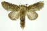  ( - INB0004013016)  @14 [ ] Copyright (2012) Juan Mata Lorenzen Unspecified