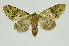  ( - INB0004013020)  @15 [ ] Copyright (2012) Juan Mata Lorenzen Unspecified