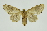  ( - INB0004013020)  @13 [ ] Copyright (2012) Juan Mata Lorenzen Unspecified