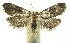  ( - INB0004016163)  @12 [ ] CreativeCommons - Attribution Non-Commercial Share-Alike (2012) National Biodiversity Institute of Costa Rica National Biodiversity Institute of Costa Rica