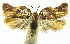  ( - INB0004016192)  @11 [ ] CreativeCommons - Attribution Non-Commercial Share-Alike (2012) National Biodiversity Institute of Costa Rica National Biodiversity Institute of Costa Rica
