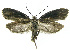  ( - INB0004016394)  @12 [ ] CreativeCommons - Attribution Non-Commercial Share-Alike (2012) National Biodiversity Institute of Costa Rica National Biodiversity Institute of Costa Rica