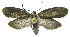  ( - INB0004016395)  @12 [ ] CreativeCommons - Attribution Non-Commercial Share-Alike (2012) National Biodiversity Institute of Costa Rica National Biodiversity Institute of Costa Rica