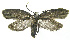  ( - INB0004016395)  @12 [ ] CreativeCommons - Attribution Non-Commercial Share-Alike (2012) National Biodiversity Institute of Costa Rica National Biodiversity Institute of Costa Rica