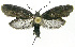  ( - INB0004016396)  @13 [ ] CreativeCommons - Attribution Non-Commercial Share-Alike (2012) National Biodiversity Institute of Costa Rica National Biodiversity Institute of Costa Rica