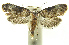  ( - INB0004016452)  @13 [ ] CreativeCommons - Attribution Non-Commercial Share-Alike (2012) National Biodiversity Institute of Costa Rica National Biodiversity Institute of Costa Rica