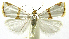  ( - INB0004016488)  @14 [ ] CreativeCommons - Attribution Non-Commercial Share-Alike (2012) National Biodiversity Institute of Costa Rica National Biodiversity Institute of Costa Rica