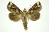  ( - INB0004023634)  @13 [ ] Copyright (2012) Juan Mata Lorenzen Unspecified