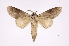  ( - INB0004027681)  @13 [ ] Copyright (2012) I. Chacon Instituto Nacional de Biodiversidad