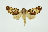  ( - INB0004027689)  @13 [ ] Copyright (2012) Juan Mata Lorenzen INBio