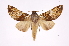  ( - INB0004027693)  @14 [ ] Copyright (2012) I. Chacon Instituto Nacional de Biodiversidad