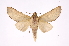  ( - INB0004027693)  @12 [ ] Copyright (2012) I. Chacon Instituto Nacional de Biodiversidad
