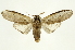 ( - INB0004027883)  @14 [ ] Copyright (2012) Juan Mata Lorenzen Unspecified