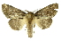  ( - INB0004033877)  @14 [ ] Copyright (2012) Juan Mata Lorenzen Unspecified