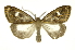  ( - INB0004033935)  @13 [ ] Copyright (2012) Juan Mata Lorenzen Unspecified