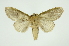  ( - INB0004038399)  @11 [ ] Copyright (2012) Juan Mata Lorenzen Unspecified