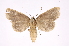  ( - INB0004041597)  @14 [ ] Copyright (2012) I. Chacon Instituto Nacional de Biodiversidad