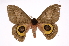  ( - INB0004041761)  @14 [ ] Copyright (2012) I. Chacon Instituto Nacional de Biodiversidad