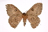  ( - INB0004041761)  @14 [ ] Copyright (2012) I. Chacon Instituto Nacional de Biodiversidad