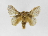  ( - INB0004041780)  @13 [ ] Copyright (2012) J. Montero Instituto Nacional de Biodiversidad