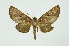  ( - INB0004041790)  @13 [ ] Copyright (2012) Juan Mata Lorenzen INBio