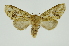  ( - INB0004041800)  @13 [ ] Copyright (2012) Juan Mata Lorenzen Unspecified