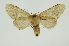  ( - INB0004041800)  @13 [ ] Copyright (2012) Juan Mata Lorenzen Unspecified
